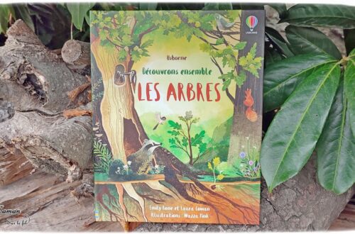 Test et avis livre enfants - Découvrons ensemble Les arbres - éditions Usborne - Livre à rabats - fenêtres - littérature jeunesse - arbres étonnants, parties d'un arbre, au fil des saisons, habitants des arbres, animaux, différents types d'arbres et de forêts, arbres tropicaux, mangrove, forêts froides, arbres remarquables, écologie, jardinage - mslf