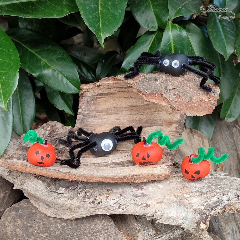 Activité créative et manuelle enfants - Nos marrons Halloween - Fabriquer des citrouilles d'Halloween et des araignées avec des marrons - Nature et Land Art - Bricolage facile pour l'automne et Halloween - Décoration - Récup' et recyclage - Alimentation, Fruits et légumes, animaux et insectes - Créativité - arts visuels et atelier maternelle et élémentaire - Cycle 1 ou 2 - Peinture et fils chenille - mslf