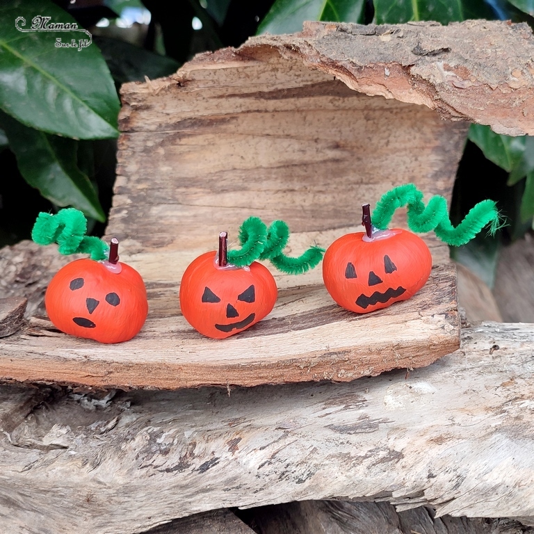 Activité créative et manuelle enfants - Nos marrons Halloween - Fabriquer des citrouilles d'Halloween et des araignées avec des marrons - Nature et Land Art - Bricolage facile pour l'automne et Halloween - Décoration - Récup' et recyclage - Alimentation, Fruits et légumes, animaux et insectes - Créativité - arts visuels et atelier maternelle et élémentaire - Cycle 1 ou 2 - Peinture et fils chenille - mslf