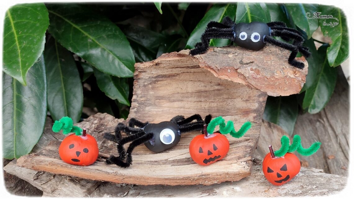 Activité créative et manuelle enfants - Nos marrons Halloween - Fabriquer des citrouilles d'Halloween et des araignées avec des marrons - Nature et Land Art - Bricolage facile pour l'automne et Halloween - Décoration - Récup' et recyclage - Alimentation, Fruits et légumes, animaux et insectes - Créativité - arts visuels et atelier maternelle et élémentaire - Cycle 1 ou 2 - Peinture et fils chenille - mslf