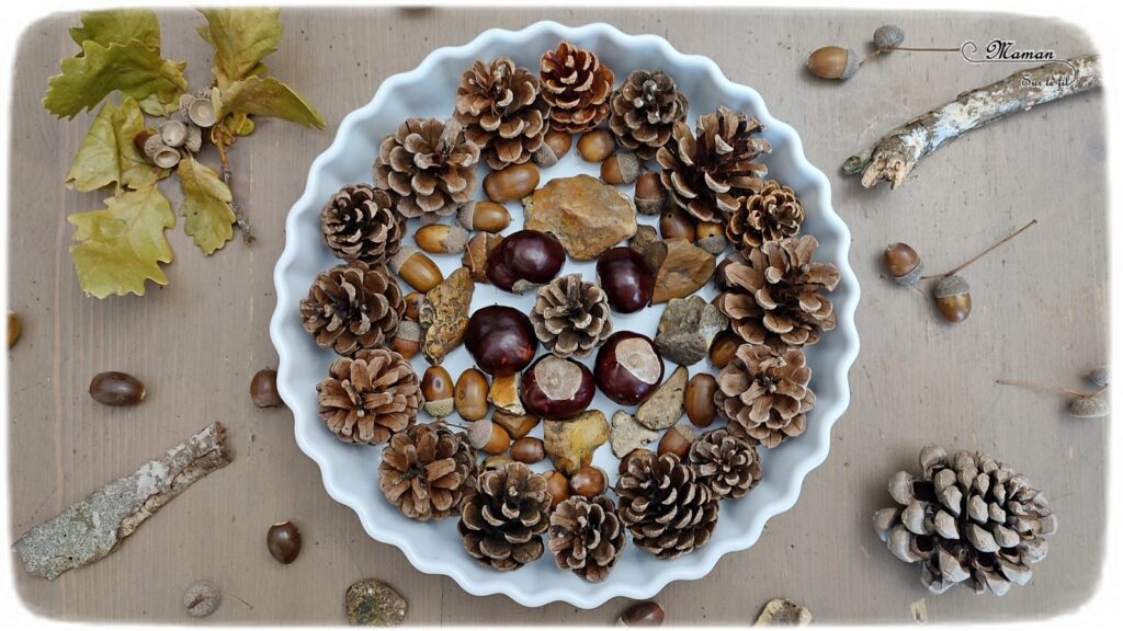 Activité créative et manuelle enfants - Invitation à créer et inventer un mandala aux couleurs automne - avec éléments de la nature ramassés en forêt - Marrons, pommes de pin, glands, graines peuplier, cailloux - Découverte des mandalas et du Land Art - Forêt, bois et automne - Activité facile pour l'automne - Décoration - Créativité - arts visuels et atelier maternelle et élémentaire - Cycle 1 ou 2 - mslf