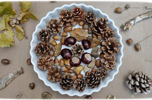 Activité créative et manuelle enfants - Invitation à créer et inventer un mandala aux couleurs automne - avec éléments de la nature ramassés en forêt - Marrons, pommes de pin, glands, graines peuplier, cailloux - Découverte des mandalas et du Land Art - Forêt, bois et automne - Activité facile pour l'automne - Décoration - Créativité - arts visuels et atelier maternelle et élémentaire - Cycle 1 ou 2 - mslf