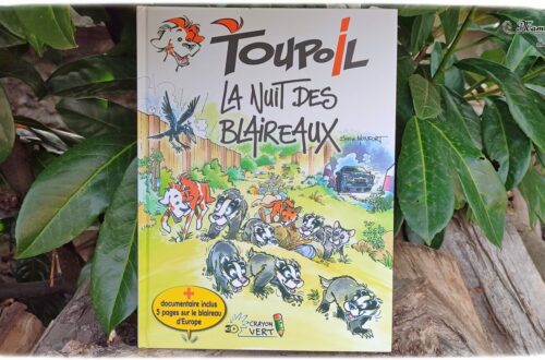 Test et avis livre enfants - Nouveauté BD de chez Crayon Vert - Série Toupoil, la BD pour découvrir la nature et les animaux d'Europe - La nuit des blaireaux pour découvrir les conséquences des constructions humaines sur la faune et la flore - existe aussi sur la loutre, le loup, le lynx, l'ours - Bande dessinée de fiction + quelques pages de documentaires pour compléter - Pour sensibiliser à la protection de la nature - BD Cycle 2 et 3 - Enfants - coup de coeur - fille et garçon 7 8 9 10 11 12 ans - littérature enfant jeunesse - avis - mslf