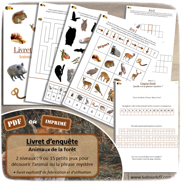 Livret Enquête sur les animaux de la forêt - Multi-jeux pour résoudre une énigme et découvrir un animal des bois ou une phrase Mystère - parcours codés, zoom, puzzles, intrus, labyrinthes, jeux de logique, ombres, sudoku, association de couleurs, cherche et trouve, mots cachés, mots croisés, devinettes, logigramme, pyramides additions, tableau grille codé - Cahier de jeux et d'activités pour automne - PDF à télécharger et à imprimer ou jeu imprimé - 2 niveaux : maternelle, cycle 2 et 3 - lslf