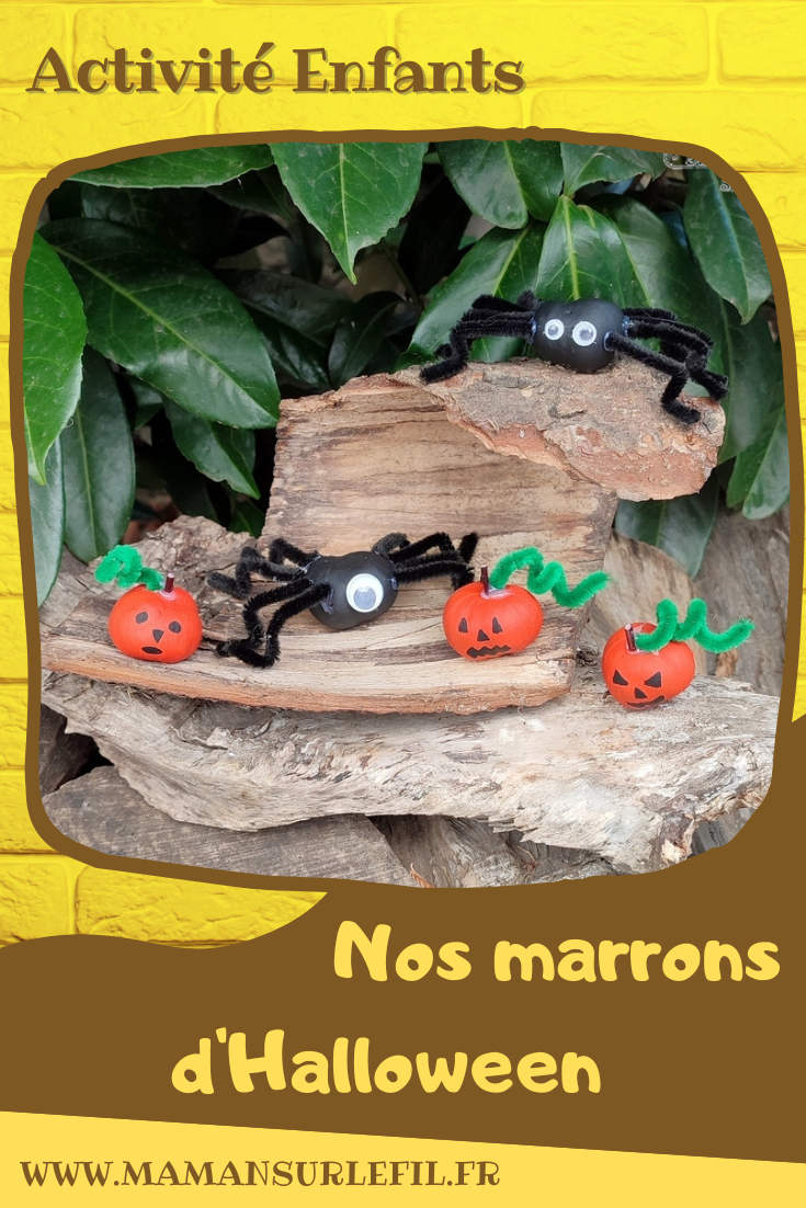 Activité créative et manuelle enfants - Nos marrons Halloween - Fabriquer des citrouilles d'Halloween et des araignées avec des marrons - Nature et Land Art - Bricolage facile pour l'automne et Halloween - Décoration - Récup' et recyclage - Alimentation, Fruits et légumes, animaux et insectes - Créativité - arts visuels et atelier maternelle et élémentaire - Cycle 1 ou 2 - Peinture et fils chenille - mslf