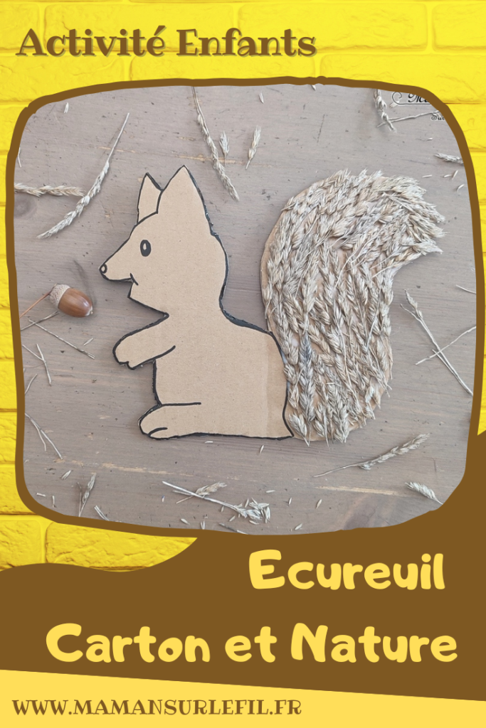 Activité créative et manuelle enfants - Fabriquer un écureuil Récup' et nature - Recyclage de carton et collage d'élements naturels - Epis de hautes herbes ou de blé - Découpage - Inspiration DIY - Animaux de la forêt - Bricolage facile pour l'automne - Décoration - Créativité - arts visuels et atelier maternelle et élémentaire - Cycle 1 ou 2 - mslf