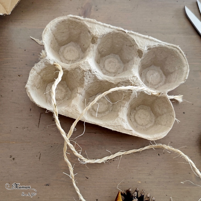 Activité créative et manuelle enfants - Fabriquer une mangeoire à oiseaux avec une boite à oeufs - Récup' - Bricolage DIY Fait maison pour automne - Décoration avec hiboux en pommes de pin - Land art - Nature - Animaux de la forêt - Décoration pour automne et forêt - Créer avec la nature - Inspiration DIY et Fait Maison - Bricolage facile pour l'automne - Décoration - Créativité - arts visuels et atelier maternelle et élémentaire - Cycle 1, 2 ou 3 - mslf