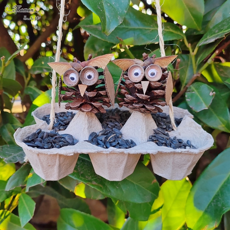 Activité créative et manuelle enfants - Fabriquer une mangeoire à oiseaux avec une boite à oeufs - Récup' - Bricolage DIY Fait maison pour automne - Décoration avec hiboux en pommes de pin - Land art - Nature - Animaux de la forêt - Décoration pour automne et forêt - Créer avec la nature - Inspiration DIY et Fait Maison - Bricolage facile pour l'automne - Décoration - Créativité - arts visuels et atelier maternelle et élémentaire - Cycle 1, 2 ou 3 - mslf