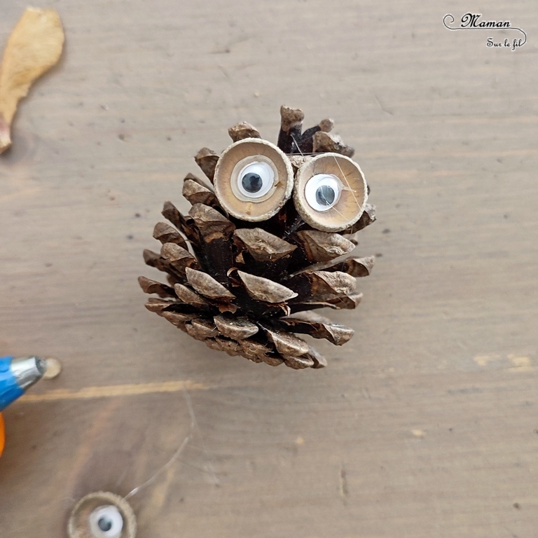 Activité créative et manuelle enfants - Fabriquer une mangeoire à oiseaux avec une boite à oeufs - Récup' - Bricolage DIY Fait maison pour automne - Décoration avec hiboux en pommes de pin - Land art - Nature - Animaux de la forêt - Décoration pour automne et forêt - Créer avec la nature - Inspiration DIY et Fait Maison - Bricolage facile pour l'automne - Décoration - Créativité - arts visuels et atelier maternelle et élémentaire - Cycle 1, 2 ou 3 - mslf