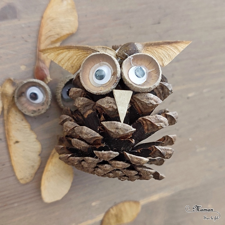 Activité créative et manuelle enfants - Fabriquer une mangeoire à oiseaux avec une boite à oeufs - Récup' - Bricolage DIY Fait maison pour automne - Décoration avec hiboux en pommes de pin - Land art - Nature - Animaux de la forêt - Décoration pour automne et forêt - Créer avec la nature - Inspiration DIY et Fait Maison - Bricolage facile pour l'automne - Décoration - Créativité - arts visuels et atelier maternelle et élémentaire - Cycle 1, 2 ou 3 - mslf