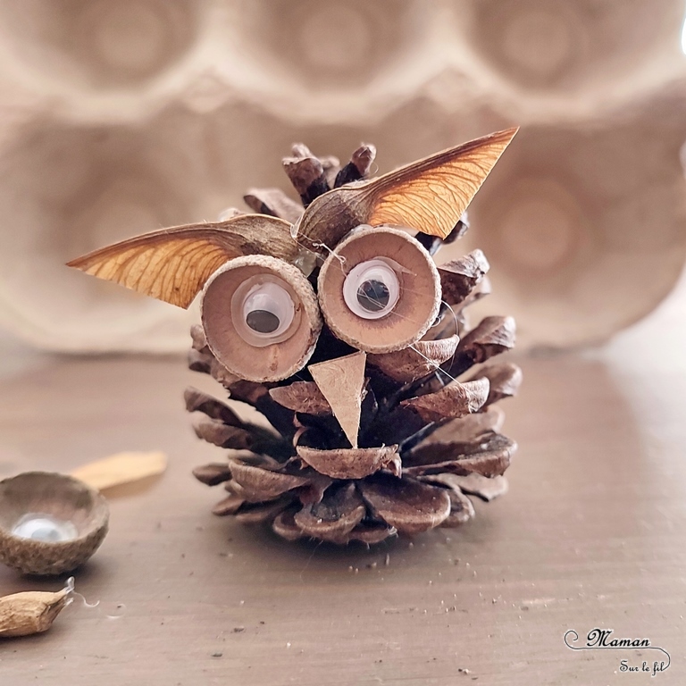 Activité créative et manuelle enfants - Fabriquer une mangeoire à oiseaux avec une boite à oeufs - Récup' - Bricolage DIY Fait maison pour automne - Décoration avec hiboux en pommes de pin - Land art - Nature - Animaux de la forêt - Décoration pour automne et forêt - Créer avec la nature - Inspiration DIY et Fait Maison - Bricolage facile pour l'automne - Décoration - Créativité - arts visuels et atelier maternelle et élémentaire - Cycle 1, 2 ou 3 - mslf