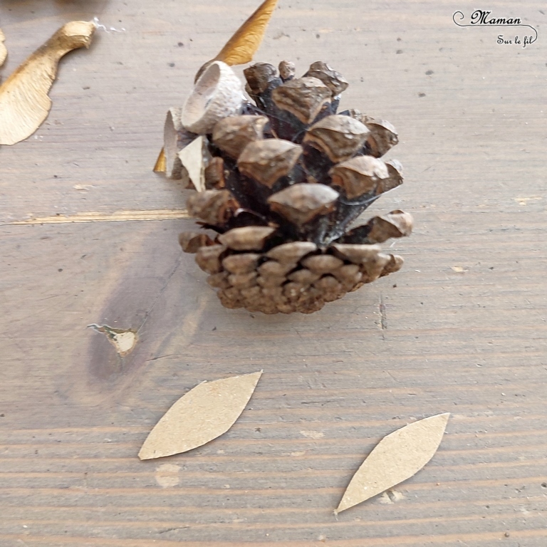 Activité créative et manuelle enfants - Fabriquer une mangeoire à oiseaux avec une boite à oeufs - Récup' - Bricolage DIY Fait maison pour automne - Décoration avec hiboux en pommes de pin - Land art - Nature - Animaux de la forêt - Décoration pour automne et forêt - Créer avec la nature - Inspiration DIY et Fait Maison - Bricolage facile pour l'automne - Décoration - Créativité - arts visuels et atelier maternelle et élémentaire - Cycle 1, 2 ou 3 - mslf