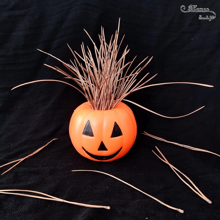 Activité créative et manuelle enfants - Inventer une coiffure à la citrouille Halloween- Invitation à créer et à jouer - Utilisation de loose parts créatifs, matériel et objets divers, éléments de la nature et du jardin, land art, bonbons - Rigolo et ludique - Motricité fine - Bricolage, peur et décoration pour Halloween - Recyclage, surcyclage - Créativité - arts visuels et atelier autonome créatif maternelle et élémentaire - Cycle 1, 2 ou 3 - mslf