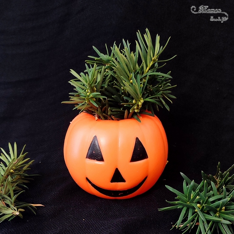 Activité créative et manuelle enfants - Inventer une coiffure à la citrouille Halloween- Invitation à créer et à jouer - Utilisation de loose parts créatifs, matériel et objets divers, éléments de la nature et du jardin, land art, bonbons - Rigolo et ludique - Motricité fine - Bricolage, peur et décoration pour Halloween - Recyclage, surcyclage - Créativité - arts visuels et atelier autonome créatif maternelle et élémentaire - Cycle 1, 2 ou 3 - mslf