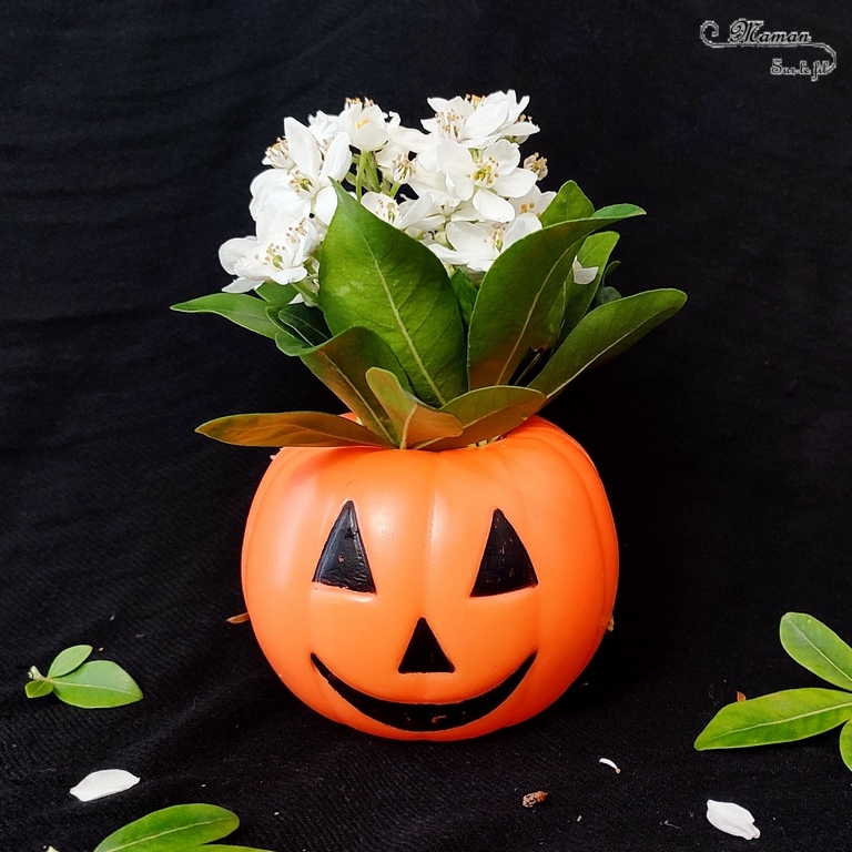 Activité créative et manuelle enfants - Inventer une coiffure à la citrouille Halloween- Invitation à créer et à jouer - Utilisation de loose parts créatifs, matériel et objets divers, éléments de la nature et du jardin, land art, bonbons - Rigolo et ludique - Motricité fine - Bricolage, peur et décoration pour Halloween - Recyclage, surcyclage - Créativité - arts visuels et atelier autonome créatif maternelle et élémentaire - Cycle 1, 2 ou 3 - mslf