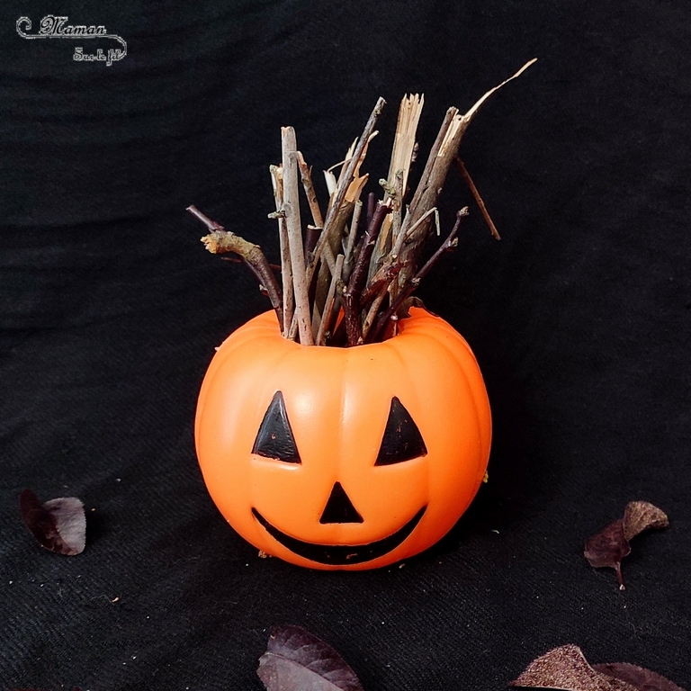 Activité créative et manuelle enfants - Inventer une coiffure à la citrouille Halloween- Invitation à créer et à jouer - Utilisation de loose parts créatifs, matériel et objets divers, éléments de la nature et du jardin, land art, bonbons - Rigolo et ludique - Motricité fine - Bricolage, peur et décoration pour Halloween - Recyclage, surcyclage - Créativité - arts visuels et atelier autonome créatif maternelle et élémentaire - Cycle 1, 2 ou 3 - mslf