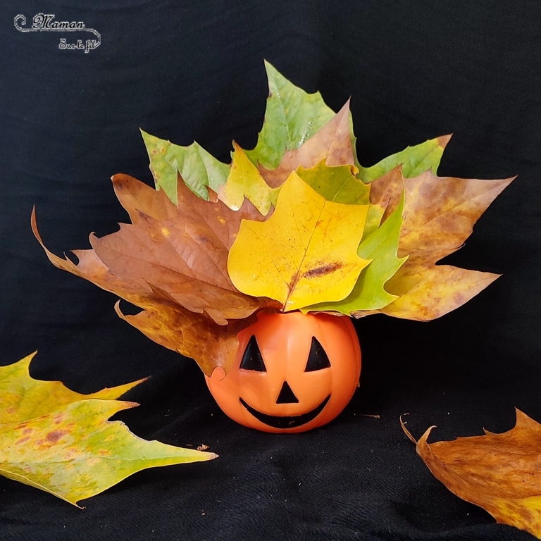 Activité créative et manuelle enfants - Inventer une coiffure à la citrouille Halloween- Invitation à créer et à jouer - Utilisation de loose parts créatifs, matériel et objets divers, éléments de la nature et du jardin, land art, bonbons - Rigolo et ludique - Motricité fine - Bricolage, peur et décoration pour Halloween - Recyclage, surcyclage - Créativité - arts visuels et atelier autonome créatif maternelle et élémentaire - Cycle 1, 2 ou 3 - mslf