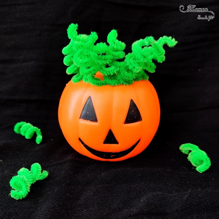 Activité créative et manuelle enfants - Inventer une coiffure à la citrouille Halloween- Invitation à créer et à jouer - Utilisation de loose parts créatifs, matériel et objets divers, éléments de la nature et du jardin, land art, bonbons - Rigolo et ludique - Motricité fine - Bricolage, peur et décoration pour Halloween - Recyclage, surcyclage - Créativité - arts visuels et atelier autonome créatif maternelle et élémentaire - Cycle 1, 2 ou 3 - mslf