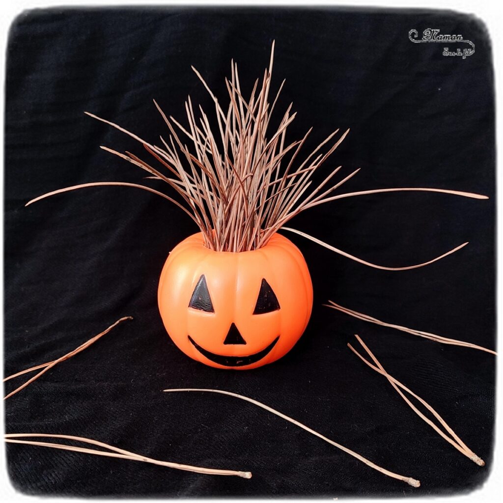 Activité créative et manuelle enfants - Inventer une coiffure à la citrouille Halloween- Invitation à créer et à jouer - Utilisation de loose parts créatifs, matériel et objets divers, éléments de la nature et du jardin, land art, bonbons - Rigolo et ludique - Motricité fine - Bricolage, peur et décoration pour Halloween - Recyclage, surcyclage - Créativité - arts visuels et atelier autonome créatif maternelle et élémentaire - Cycle 1, 2 ou 3 - mslf