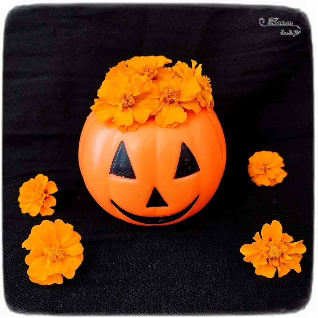 Halloween bricolage enfant fabrication marionnette marotte citrouille faire  spectacle maternelle occuper enfants marionnettes citrouilles marottes  activites