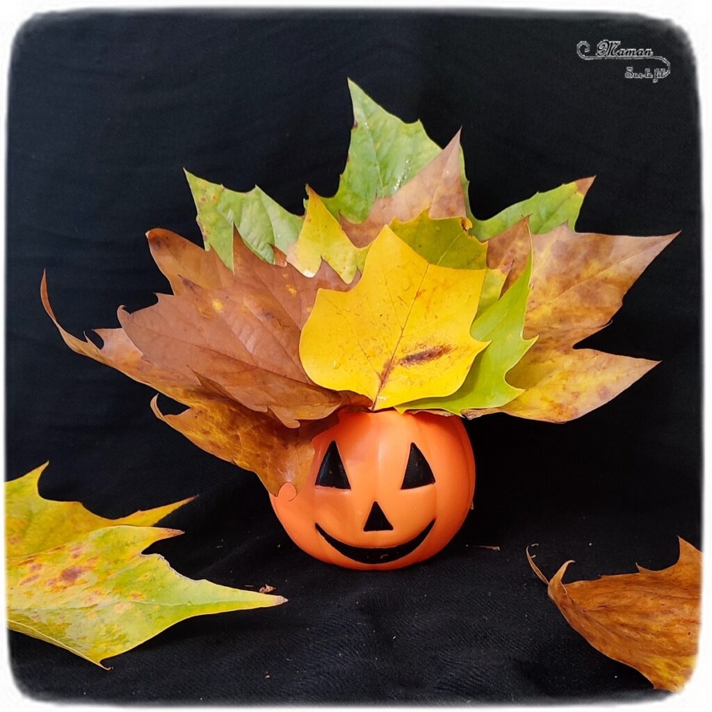 Activité créative et manuelle enfants - Inventer une coiffure à la citrouille Halloween- Invitation à créer et à jouer - Utilisation de loose parts créatifs, matériel et objets divers, éléments de la nature et du jardin, land art, bonbons - Rigolo et ludique - Motricité fine - Bricolage, peur et décoration pour Halloween - Recyclage, surcyclage - Créativité - arts visuels et atelier autonome créatif maternelle et élémentaire - Cycle 1, 2 ou 3 - mslf