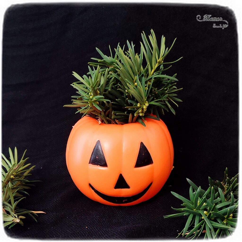 Activité créative et manuelle enfants - Inventer une coiffure à la citrouille Halloween- Invitation à créer et à jouer - Utilisation de loose parts créatifs, matériel et objets divers, éléments de la nature et du jardin, land art, bonbons - Rigolo et ludique - Motricité fine - Bricolage, peur et décoration pour Halloween - Recyclage, surcyclage - Créativité - arts visuels et atelier autonome créatif maternelle et élémentaire - Cycle 1, 2 ou 3 - mslf