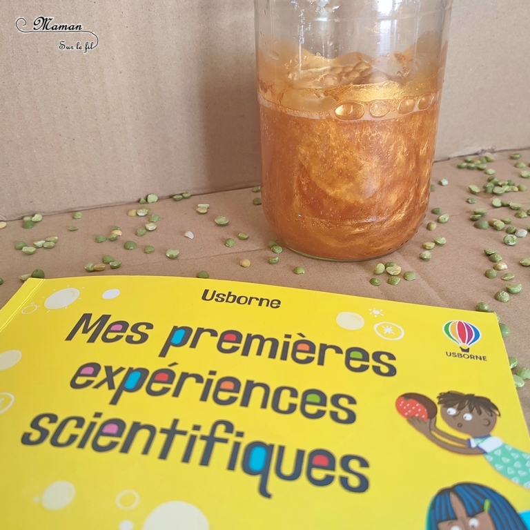 Activités scientifiques enfants - Plusieurs expériences tirées du livre Mes premières expériences scientifiques chez Usborne - Expériences rigolotes et faciles, magie - Peu de matériel, bien expliqué - apprendre à réfléchir comme un scientifique - démarche scientifique - Mouvements, sons, végétaux, sens, électricité statique, couleurs - sujets variés et intéressants - Explications et illustrations claires - Sciences maternelle et élémentaire - Cycle 1, 2 ou 3 - Livre enfants - Littérature jeunesse - avis - mslf