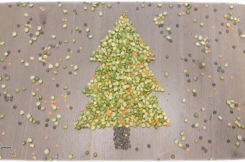 Activité créative et manuelle enfants - Fabriquer un sapin en graines collées - Collage de lentilles brunes, vertes, corail et pois cassés - Sapin et carte à toucher - Récup de carton - Recyclage - Sensoriel - Inspiration DIY pour fin d'année - Végétaux et arbres - Noël et Hiver - Bricolage facile - Décoration - Créativité - arts visuels et atelier maternelle et élémentaire - Cycle 1 ou 2 - mslf