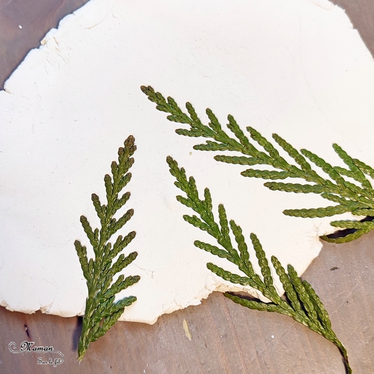 Activité créative et manuelle enfants ou adultes - Petites décorations de table en pâte à modeler autodurcissante - Empreinte branches de thuyas, nature - cercles, ronds, sous-verre, suspensions, cartes, cadeaux de fin d'année - Peinture - Activité nature - Bricolage pour le printemps - Bricolage facile et joli - Arts visuels élémentaire - Créativité - Cycle 3 ou 2 - mslf