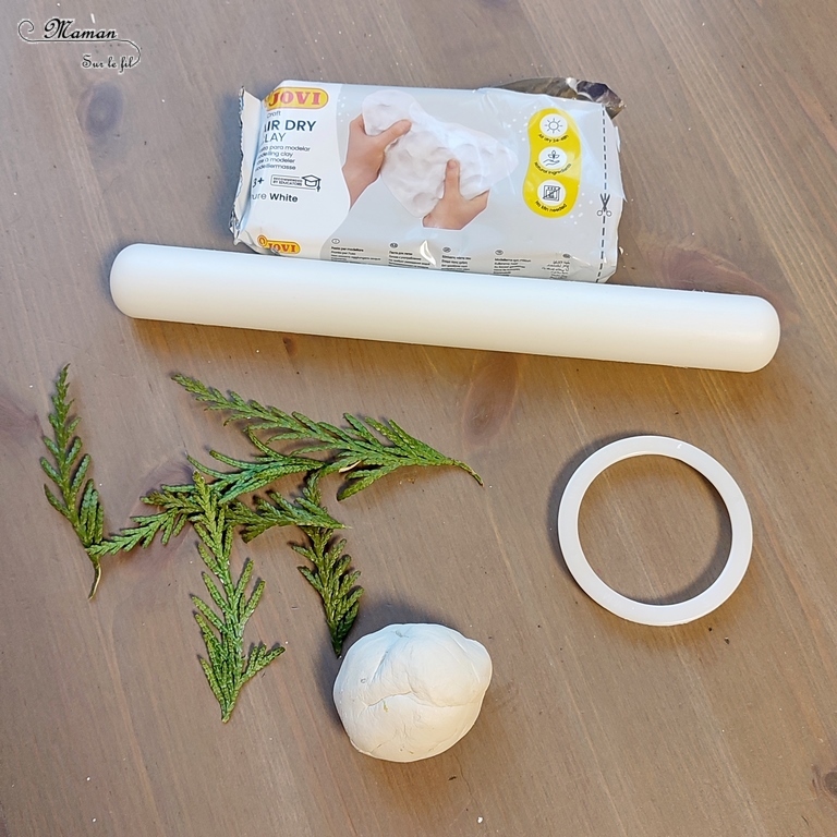 Activité créative et manuelle enfants ou adultes - Petites décorations de table en pâte à modeler autodurcissante - Empreinte branches de thuyas, nature - cercles, ronds, sous-verre, suspensions, cartes, cadeaux de fin d'année - Peinture - Activité nature - Bricolage pour le printemps - Bricolage facile et joli - Arts visuels élémentaire - Créativité - Cycle 3 ou 2 - mslf