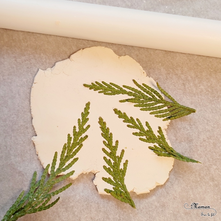 Activité créative et manuelle enfants ou adultes - Petites décorations de table en pâte à modeler autodurcissante - Empreinte branches de thuyas, nature - cercles, ronds, sous-verre, suspensions, cartes, cadeaux de fin d'année - Peinture - Activité nature - Bricolage pour le printemps - Bricolage facile et joli - Arts visuels élémentaire - Créativité - Cycle 3 ou 2 - mslf