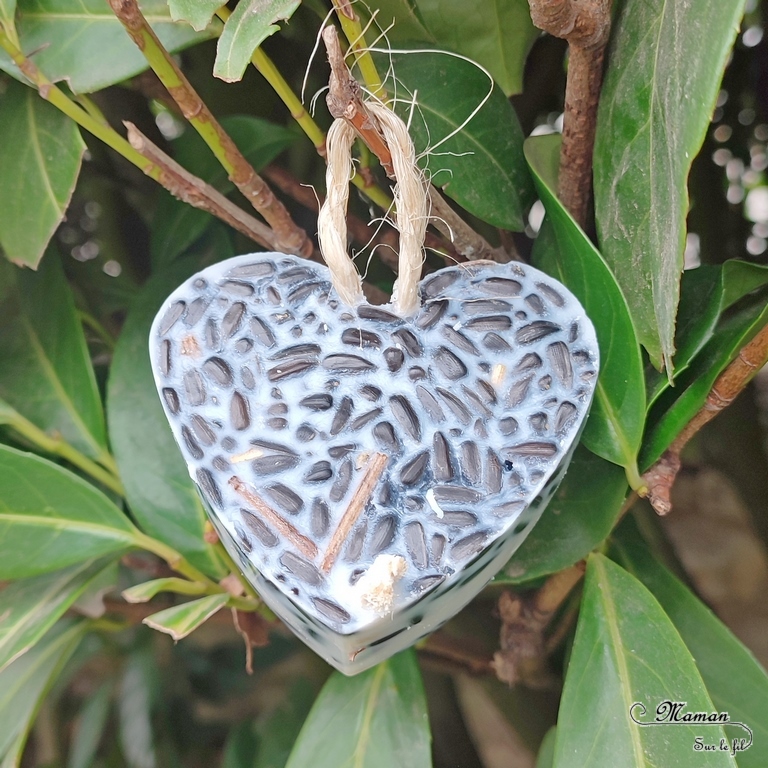 Activité créative et manuelle enfants - Nature et cuisine - Des coeurs pour nourrir les oiseaux - Boule de graisse et graines pour nourriture oiseaux - Graisse végétale, végétaline, graines de tournesol et noix - Aider les animaux en hiver - Suspension décoration pour le jardin - Bricolage facile et joli - Activité nature Maternelle et élémentaire - Créativité - Cycle 1 ou 2 - mslf