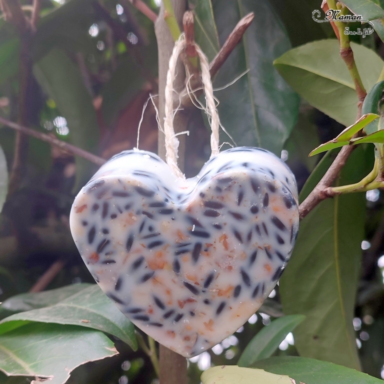 Activité créative et manuelle enfants - Nature et cuisine - Des coeurs pour nourrir les oiseaux - Boule de graisse et graines pour nourriture oiseaux - Graisse végétale, végétaline, graines de tournesol et noix - Aider les animaux en hiver - Suspension décoration pour le jardin - Bricolage facile et joli - Activité nature Maternelle et élémentaire - Créativité - Cycle 1 ou 2 - mslf