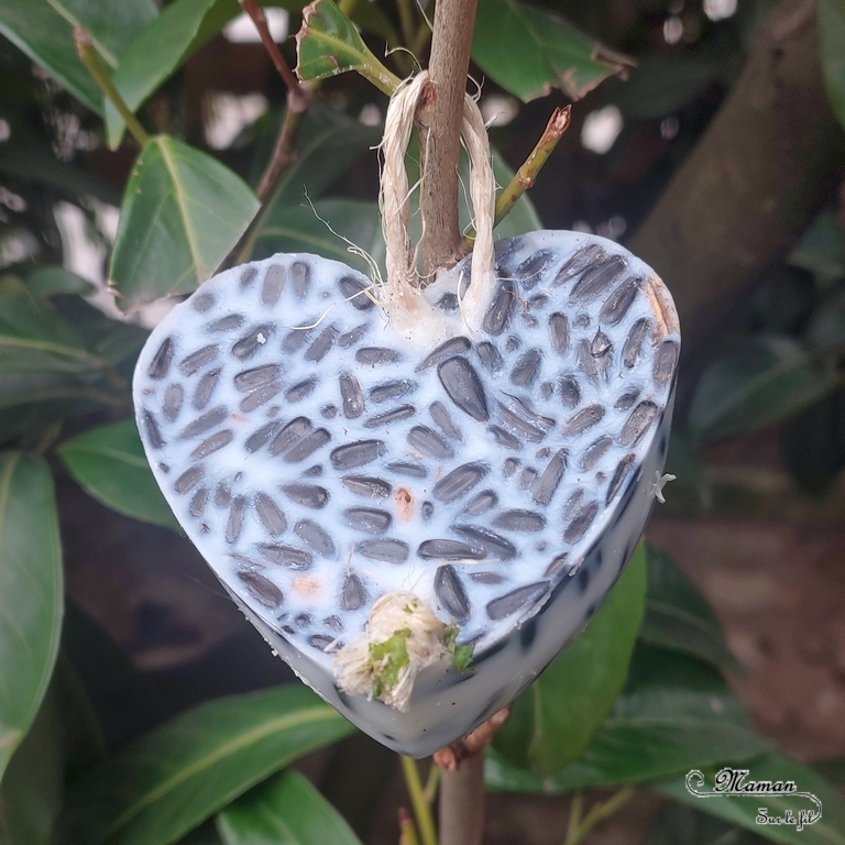 Activité créative et manuelle enfants - Nature et cuisine - Des coeurs pour nourrir les oiseaux - Boule de graisse et graines pour nourriture oiseaux - Graisse végétale, végétaline, graines de tournesol et noix - Aider les animaux en hiver - Suspension décoration pour le jardin - Bricolage facile et joli - Activité nature Maternelle et élémentaire - Créativité - Cycle 1 ou 2 - mslf