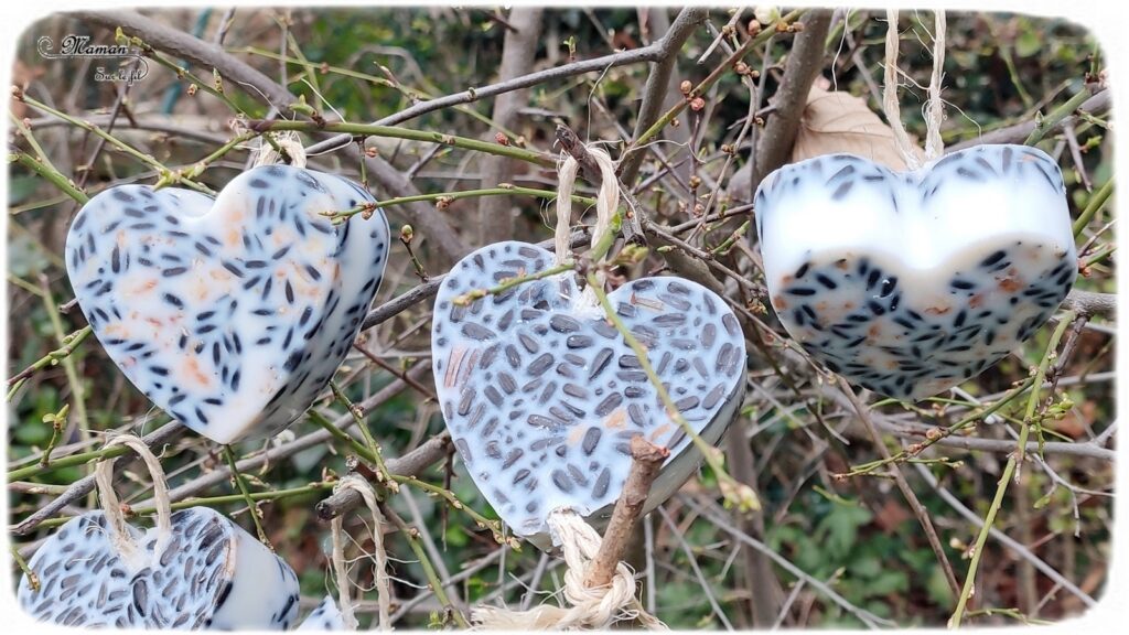 Activité créative et manuelle enfants - Nature et cuisine - Des coeurs pour nourrir les oiseaux - Boule de graisse et graines pour nourriture oiseaux - Graisse végétale, végétaline, graines de tournesol et noix - Aider les animaux en hiver - Suspension décoration pour le jardin - Bricolage facile et joli - Activité nature Maternelle et élémentaire - Créativité - Cycle 1 ou 2 - mslf