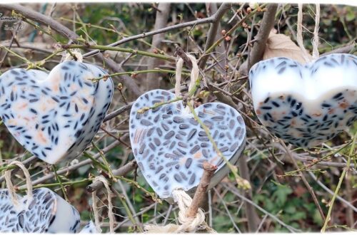 Activité créative et manuelle enfants - Nature et cuisine - Des coeurs pour nourrir les oiseaux - Boule de graisse et graines pour nourriture oiseaux - Graisse végétale, végétaline, graines de tournesol et noix - Aider les animaux en hiver - Suspension décoration pour le jardin - Bricolage facile et joli - Activité nature Maternelle et élémentaire - Créativité - Cycle 1 ou 2 - mslf