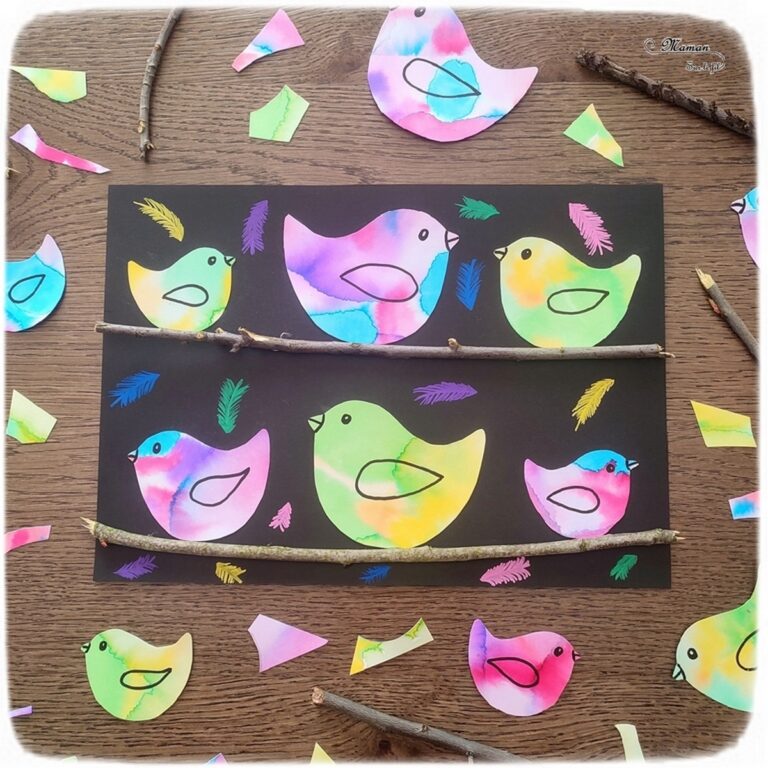 Oiseaux colorés sur leur branche Activité - Maman Sur Le Fil