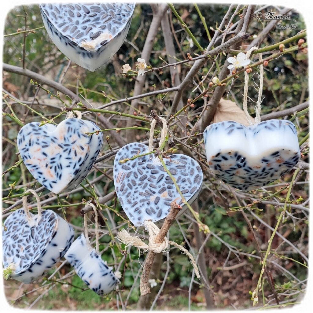 Activité créative et manuelle enfants - Nature et cuisine - Des coeurs pour nourrir les oiseaux - Boule de graisse et graines pour nourriture oiseaux - Graisse végétale, végétaline, graines de tournesol et noix - Aider les animaux en hiver - Suspension décoration pour le jardin - Bricolage facile et joli - Activité nature Maternelle et élémentaire - Créativité - Cycle 1 ou 2 - mslf