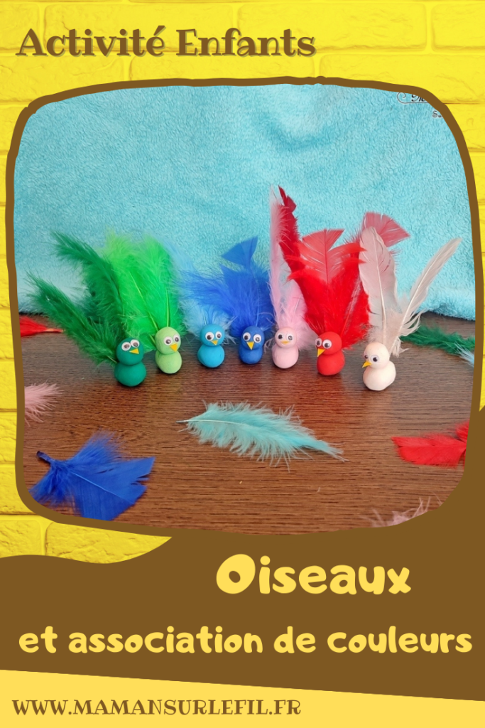 Activité créative, manuelle, pédagogique et éducative enfants - Oiseaux en pâte à modeler, plumes et association de couleurs - Jeu et atelier DIY - Maternelle et pré-scolaire - Modelage et Motricité fine - Planter les plumes dans les oiseaux en fonction des couleurs - Animaux et Printemps - Arts visuels Maternelle et élémentaire - Créativité - Cycle 1 ou 2 - mslf