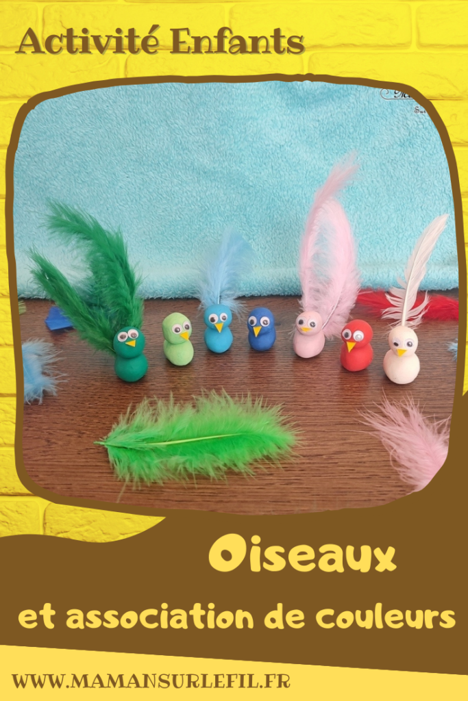 Activité créative, manuelle, pédagogique et éducative enfants - Oiseaux en pâte à modeler, plumes et association de couleurs - Jeu et atelier DIY - Maternelle et pré-scolaire - Modelage et Motricité fine - Planter les plumes dans les oiseaux en fonction des couleurs - Animaux et Printemps - Arts visuels Maternelle et élémentaire - Créativité - Cycle 1 ou 2 - mslf