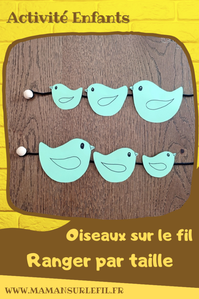 Activité créative, manuelle, pédagogique et éducative enfants - Oiseaux sur le fil - Multi-jeux : plusieurs activités - ateliers DIY maternelle - Classement, tri par couleur, reproduction d'un algorithme, dénombrement, compter, rangement par taille - Motricité fine - Enfiler les oiseaux sur un fil de laine - Animaux et Printemps - Arts visuels Maternelle et élémentaire - Créativité - Cycle 1 ou 2 - mslf