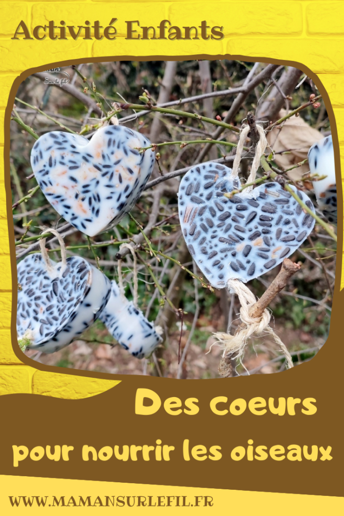 Activité créative et manuelle enfants - Nature et cuisine - Des coeurs pour nourrir les oiseaux - Boule de graisse et graines pour nourriture oiseaux - Graisse végétale, végétaline, graines de tournesol et noix - Aider les animaux en hiver - Suspension décoration pour le jardin - Bricolage facile et joli - Activité nature Maternelle et élémentaire - Créativité - Cycle 1 ou 2 - mslf