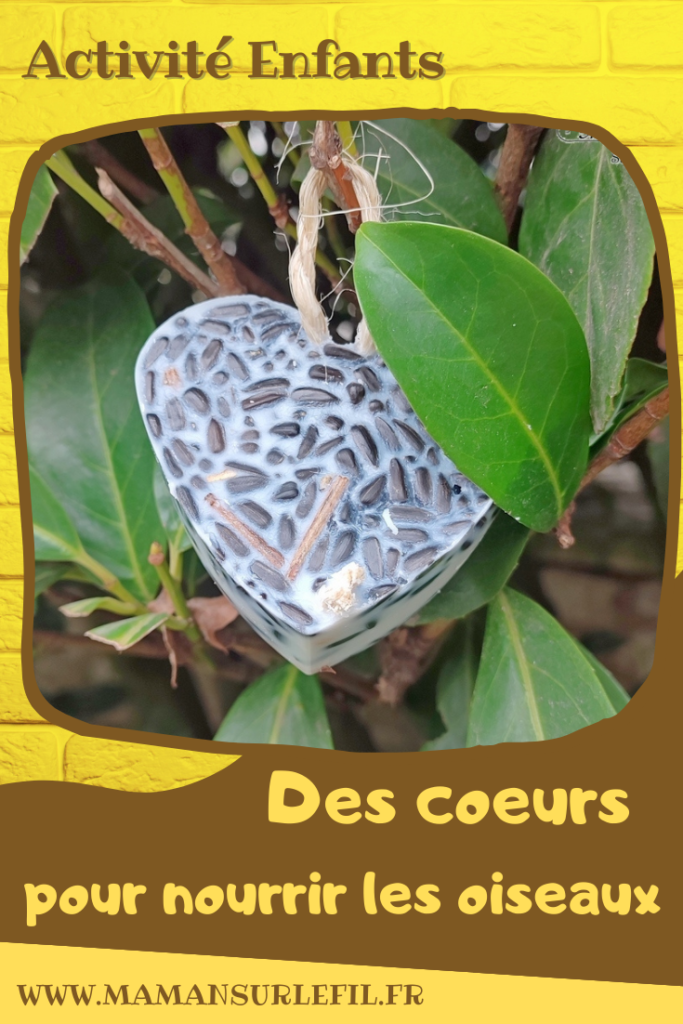 Activité créative et manuelle enfants - Nature et cuisine - Des coeurs pour nourrir les oiseaux - Boule de graisse et graines pour nourriture oiseaux - Graisse végétale, végétaline, graines de tournesol et noix - Aider les animaux en hiver - Suspension décoration pour le jardin - Bricolage facile et joli - Activité nature Maternelle et élémentaire - Créativité - Cycle 1 ou 2 - mslf