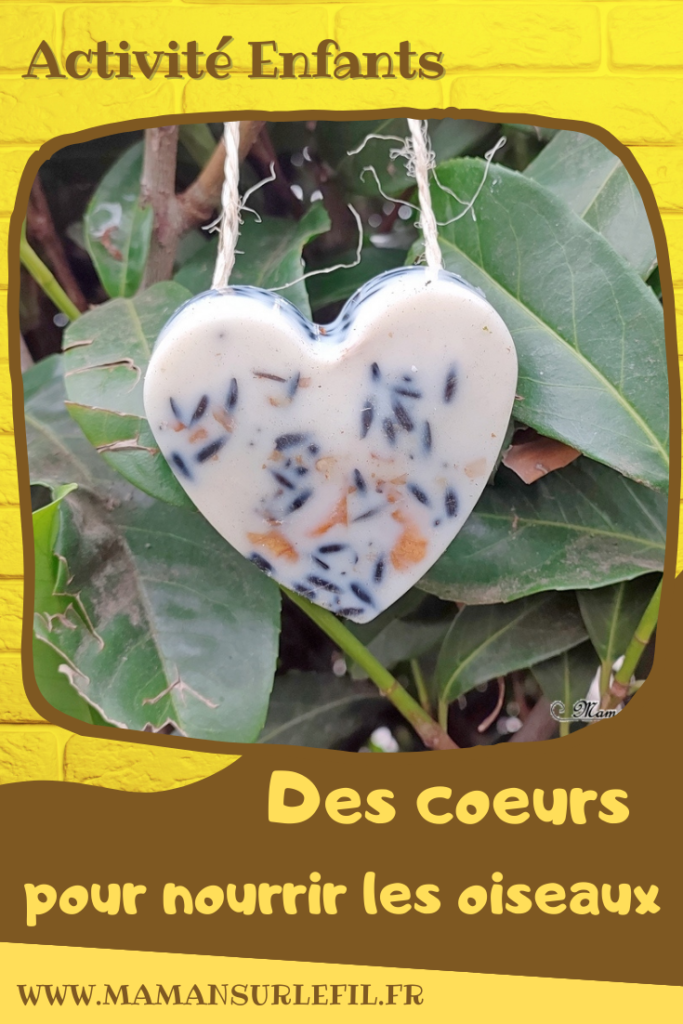 Activité créative et manuelle enfants - Nature et cuisine - Des coeurs pour nourrir les oiseaux - Boule de graisse et graines pour nourriture oiseaux - Graisse végétale, végétaline, graines de tournesol et noix - Aider les animaux en hiver - Suspension décoration pour le jardin - Bricolage facile et joli - Activité nature Maternelle et élémentaire - Créativité - Cycle 1 ou 2 - mslf