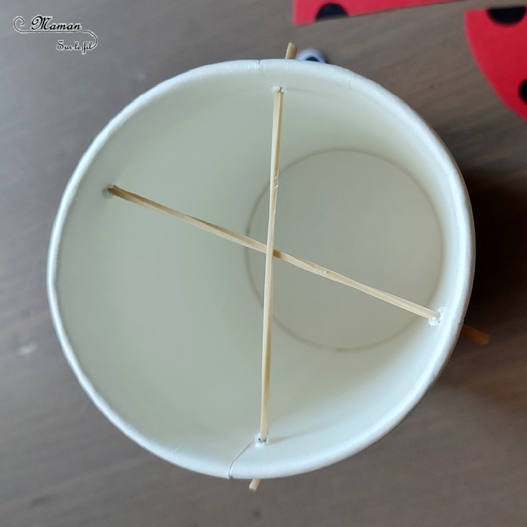 Activité créative et manuelle / bricolage enfants - Fabriquer des insectes sauteurs avec des gobelets / verres en carton - Papillon et coccinelle qui sautent grâce aux élastiques - récup', recyclage, surcyclage - Papier, gommettes, yeux mobiles, fils chenille - Jeu DIY rigolo - Décoration - Bricolage pour le printemps ou un thème sur les insectes et autres petites bêtes du jardin - animaux - Arts visuels Maternelle et élémentaire - Créativité - Cycle 1 ou 2 - Tutoriel Photos et vidéos - mslf