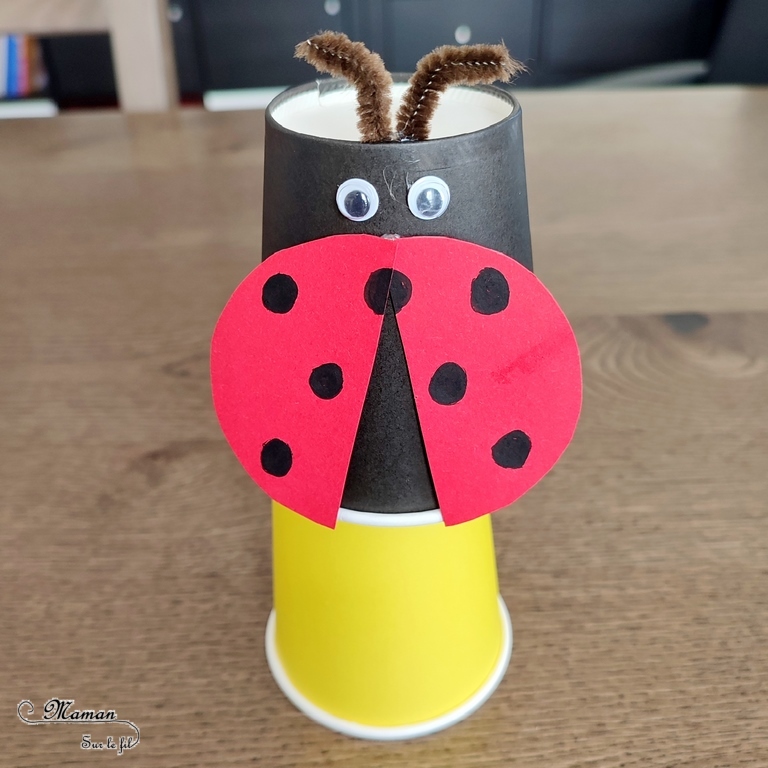 Activité créative et manuelle / bricolage enfants - Fabriquer des insectes sauteurs avec des gobelets / verres en carton - Papillon et coccinelle qui sautent grâce aux élastiques - récup', recyclage, surcyclage - Papier, gommettes, yeux mobiles, fils chenille - Jeu DIY rigolo - Décoration - Bricolage pour le printemps ou un thème sur les insectes et autres petites bêtes du jardin - animaux - Arts visuels Maternelle et élémentaire - Créativité - Cycle 1 ou 2 - Tutoriel Photos et vidéos - mslf