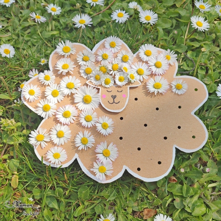 Activité créative et manuelle enfants - Fabriquer un mouton de Pâque en carton et en pâquerettes ou en laine - Récup, recyclage, surcyclage - Découpage, bricolage, dessin, jeu DIY - Motricité fine, tissage, broderie et nature - Land art avec fleurs - Décoration - Bricolage facile et rapide pour Pâques, le printemps ou un thème sur les animaux de la ferme - Arts visuels Maternelle et élémentaire - Créativité - Cycle 1 ou 2 - tutoriel photos - mslf