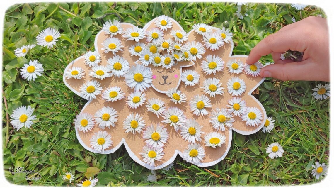 Activité créative et manuelle enfants - Fabriquer un mouton de Pâque en carton et en pâquerettes ou en laine - Récup, recyclage, surcyclage - Découpage, bricolage, dessin, jeu DIY - Motricité fine, tissage, broderie et nature - Land art avec fleurs - Décoration - Bricolage facile et rapide pour Pâques, le printemps ou un thème sur les animaux de la ferme - Arts visuels Maternelle et élémentaire - Créativité - Cycle 1 ou 2 - tutoriel photos - mslf