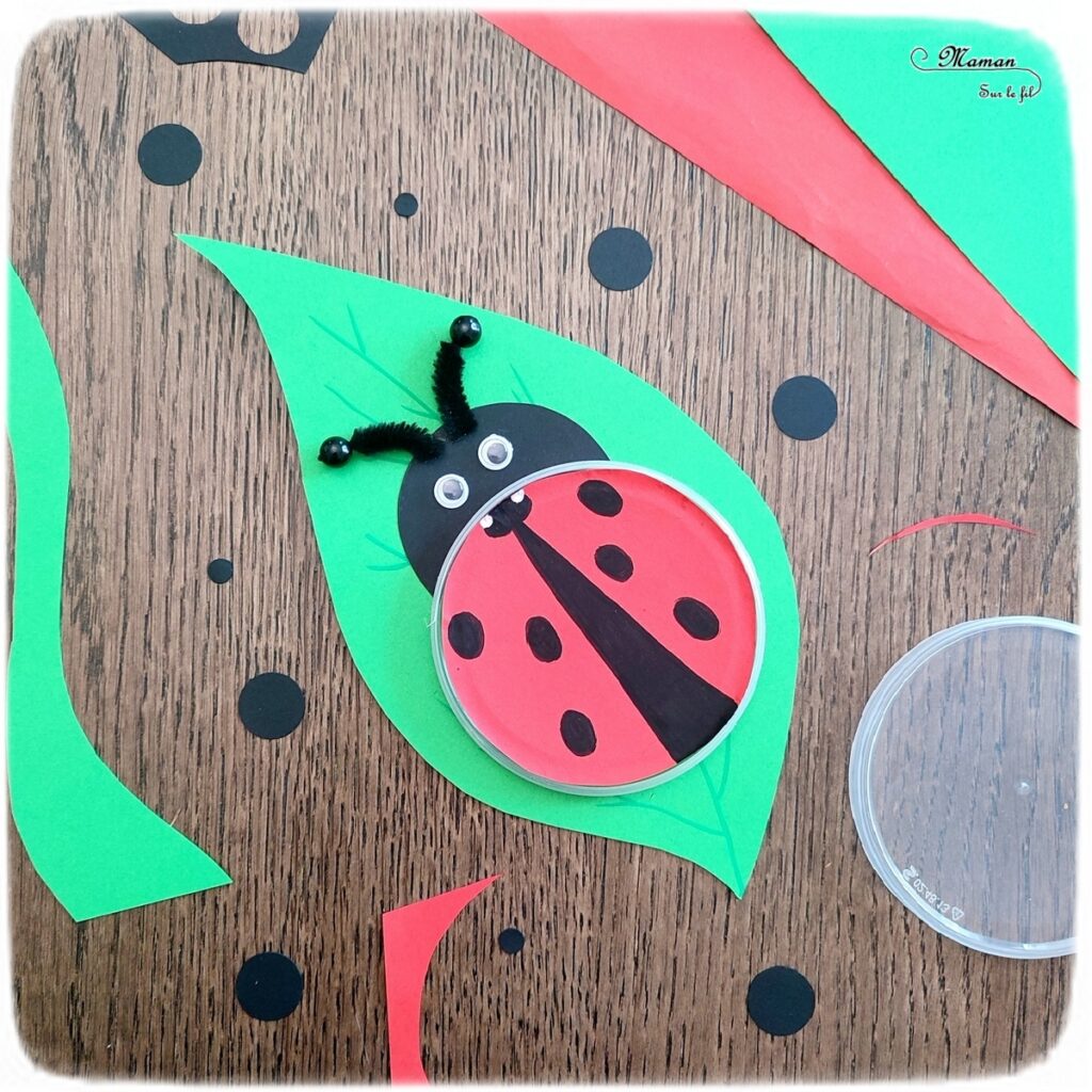 Activité créative et manuelle enfants - Fabriquer des insectes en récup' de bouchons de chips type Pringles - Abeille et coccinelle sur leur feuille - recyclage, surcyclage de bouchons de boites de chips et tuiles type Pringles -Découpage et collage de papier et de calque- Dessin - Décoration - Bricolage facile et rapide pour le printemps ou un thème sur les insectes et animaux - Arts visuels Maternelle et élémentaire - Créativité - Cycle 1 ou 2 - Tutoriel Photos - mslf