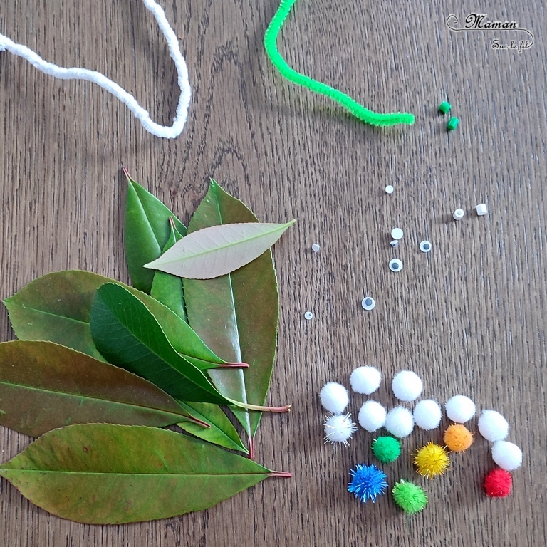 Fabriquer des chenilles en pompons : une activité créative et manuelle pour les enfants - Land art et collage - Chenilles multicolore, arc-en-ciel et blanche sur leur feuille - Bricolage mignon, facile et rapide DIY et fait maison - Nature - Décoration - Pour le printemps ou un thème sur les insectes ou les papillons - Arts visuels Maternelle et élémentaire - Créativité - Cycle 1 ou 2 - tutoriel photos - mslf